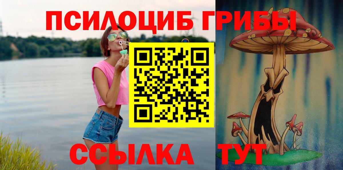 Галлюциногенные грибы MAGIC MUSHROOMS  Вход с VPN  Избербаш 